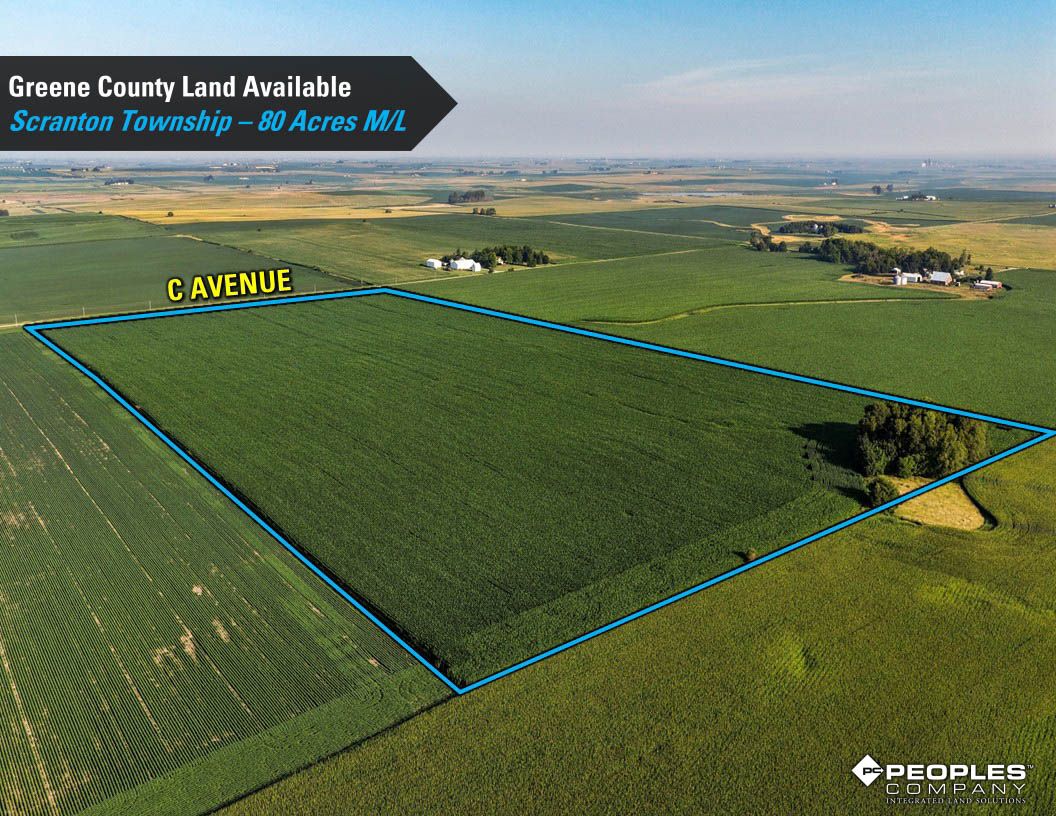 Listing Photo: Greene-County-Land-Available-Scranton-Iowa-80-Acres-19663 (13)